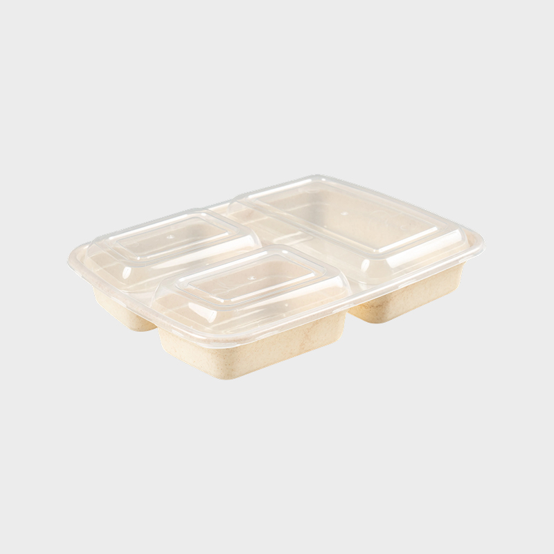 Tre-roms Bento Box PFK004/PFK003