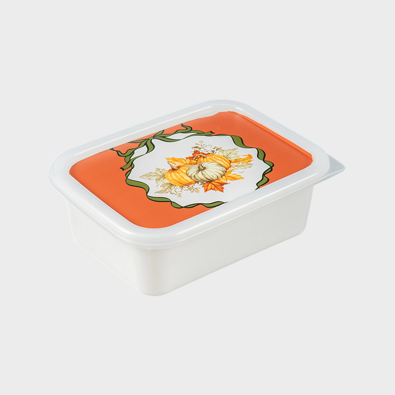 Oppbevaringsboks i plast PFB067
